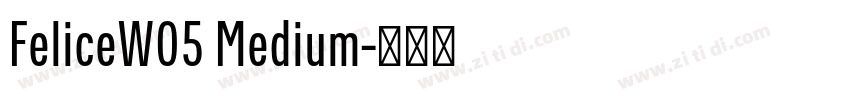 FeliceW05 Medium字体转换